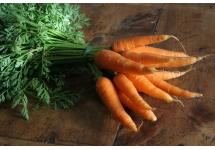 Deux bottes de carotte bio