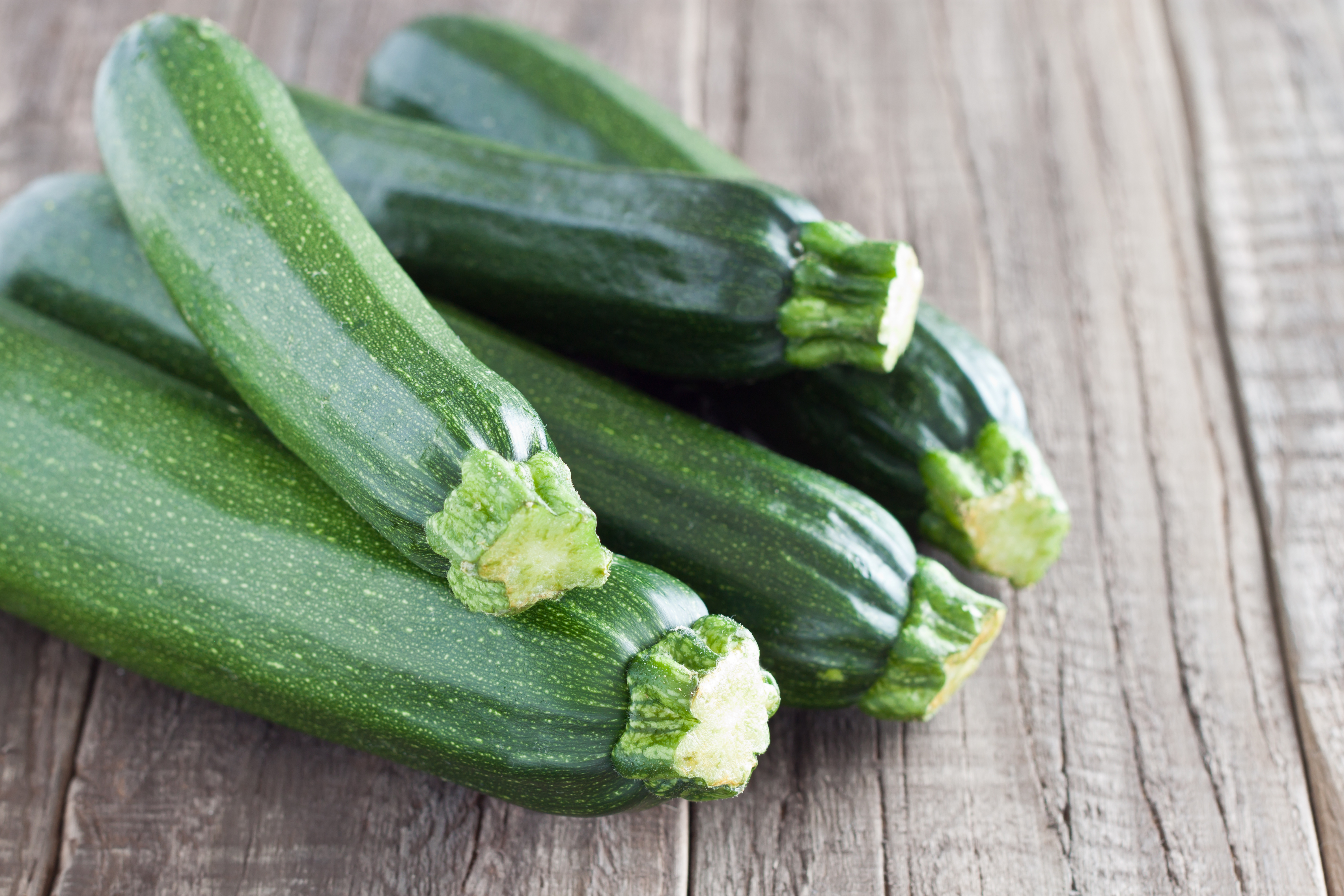 Courgette Bio